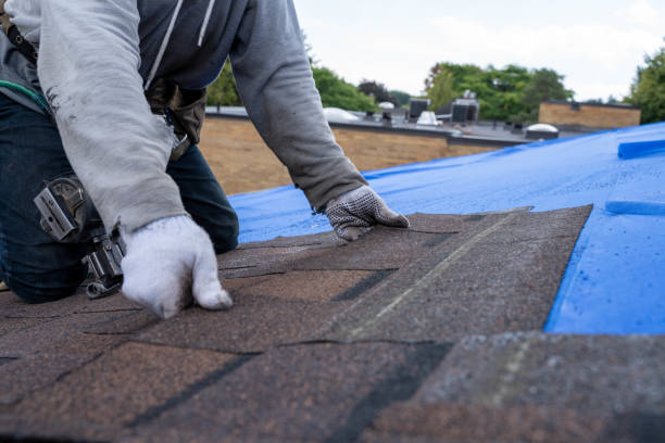 Best Roof Waterproofing Services  in Sullivan, IL