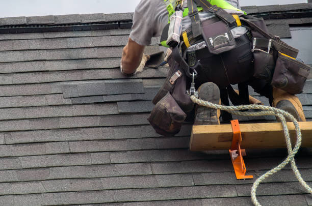 Roof Gutter Cleaning in Sullivan, IL
