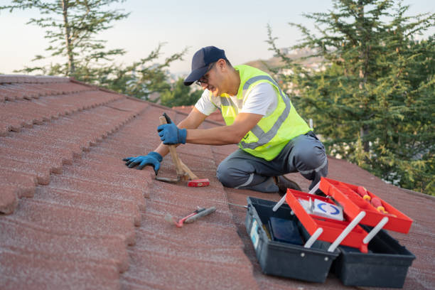 Best Roof Maintenance Services  in Sullivan, IL